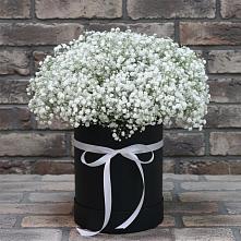 Цветочная композиция из Гипсофила в шляпной коробке #REPLACE_PRED# Мирном Республики Саха (Якутия)